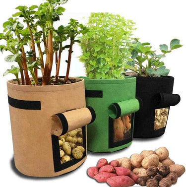 3 Sacs de Plantation et de Culture pour Potager - 10 Gallons - 38L - Vert - Plumzi