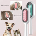 Brosse à poil pour animaux de compagnie avec réservoir d'eau - Vert - Plumzi