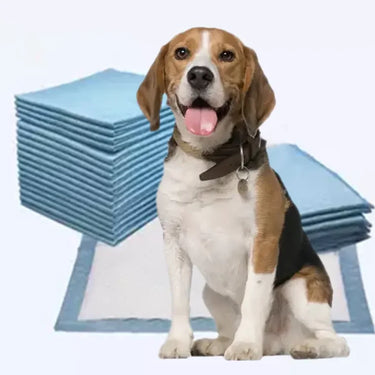 Lot de 100 protections pour déjections canines, anti-fuite, pour chiens et chiots