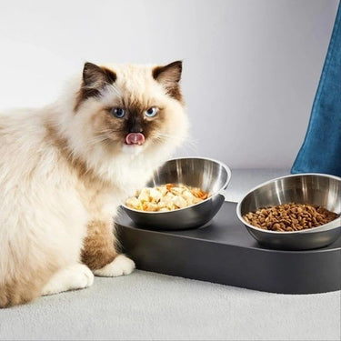 Bols surélevés pour chat et chien 200 ml en acier inoxydable