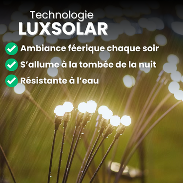 Lampes LED Solaire Lucioles Écologiques - Promotion Exceptionnelle - 2 Lampes (17.45€/u) - Plumzi