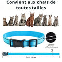 Collier anti-miaulement pour chat - Bleu - Plumzi