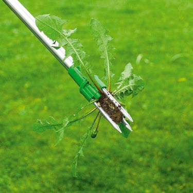 Extracteur de racines d'herbe de jardin portable à long manche en Alluminium - Default Title - Plumzi