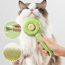 Brosse nettoyante pour poils d'animaux - Vert - Plumzi
