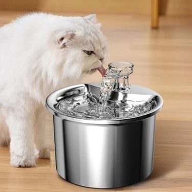 Fontaine à eau pour chat et chien avec capteur de mouvement - Avec capteur + 1 filtre - Plumzi