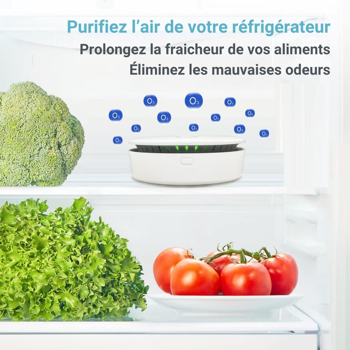 Purificateur d'air portable