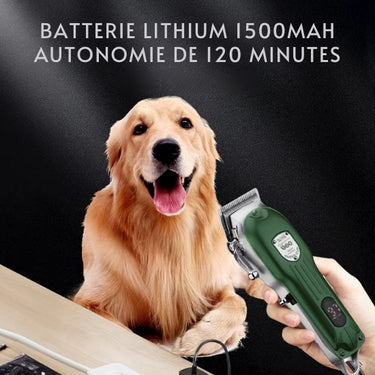 Kit de toilettage pour chiens avec tondeuse, ciseaux et accessoires - Vert / Kit complet - Plumzi