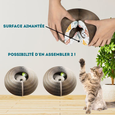 Planche d'orgue à gratter pour chat - Griffoir pliable + Balle - Default Title - Plumzi