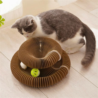 Planche d'orgue à gratter pour chat - Griffoir pliable + Balle - Default Title - Plumzi