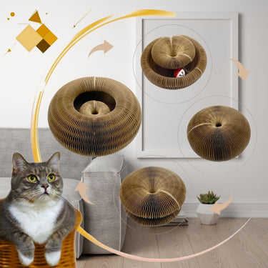 Planche d'orgue à gratter pour chat - Griffoir pliable + Balle - Default Title - Plumzi