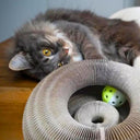 Planche d'orgue à gratter pour chat - Griffoir pliable + Balle - Default Title - Plumzi