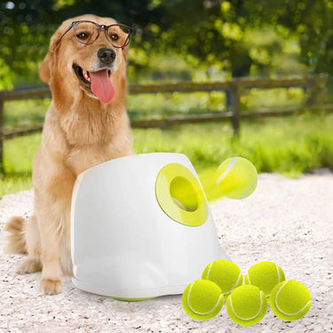 Lanceur automatique de balles pour chiens