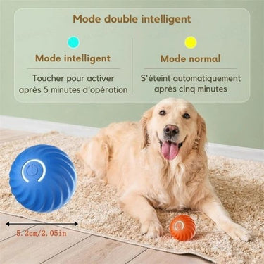Balle intelligente pour chien et chat - Orange - Plumzi