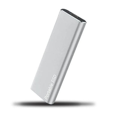 N°1 des Disques Durs Externes USB-C - Stockage Rapide et Fiable - Silver / 1TB - Plumzi