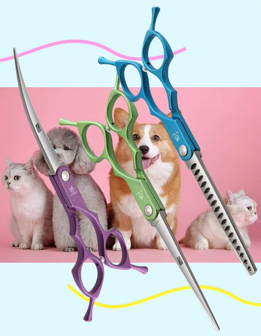 Kit de Ciseaux de Toilettage Professionnels pour Animaux – Acier Inoxydable de Haute Précision - Vert - Plumzi