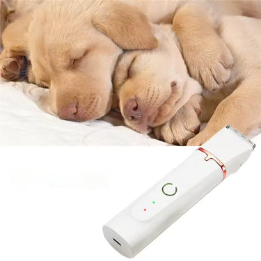 Kit de Tondeuse pour Chien 4-en-1 Sans Fil Premium – Silencieux et Étanche - Blanc - Plumzi