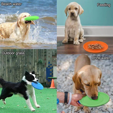 Frisbee pliable pour chien - Vert / S 15cm - Plumzi