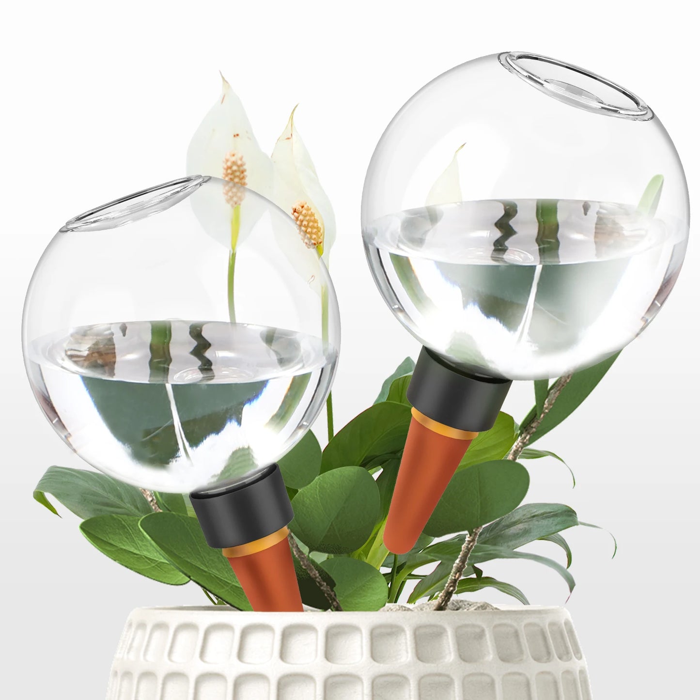 Système d'irrigation goutte-à-goutte automatique 500ML pour plantes