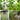 Filet d'escalade de jardin - Support robuste pour fleurs et légumes - 1.2 x 2.4 cm - Plumzi