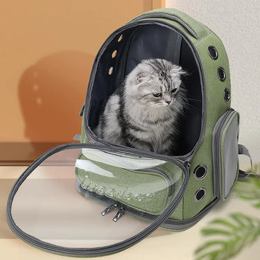 Sac de transport Transparent pour animaux - Confort et Praticité - Gris - Plumzi