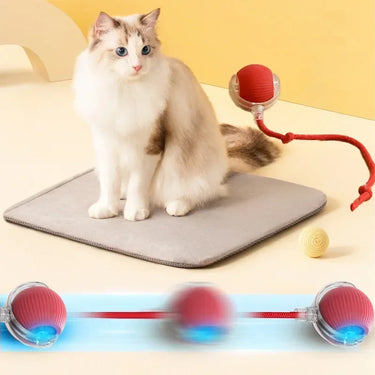 Balle roulante interactive pour chat - Gris - Balle avec corde - Plumzi