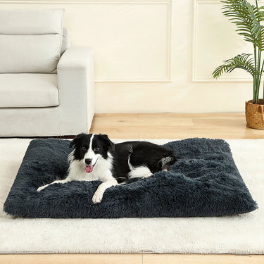 Lits douillets pour chiens et chats en peluche douce et confortable