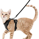 Harnais et laisse pour chat doux et réglable pour marche et ballade - Noir - Plumzi