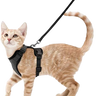 Harnais et laisse pour chat doux et réglable pour marche et ballade - Noir - Plumzi