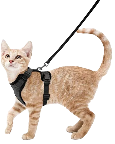Harnais et laisse pour chat doux et réglable pour marche et ballade - Noir - Plumzi