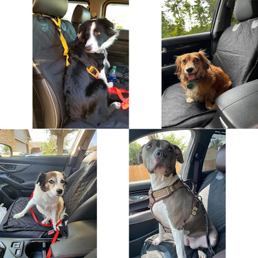 Housses de Siège Auto Avant pour Chien 100% Imperméables - SUV & Camions - Gris / 106x50cm - Plumzi