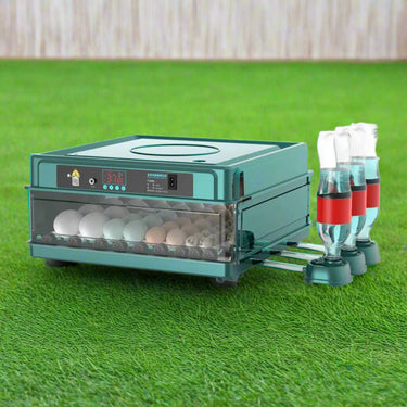 IncubaPro - Couveuse Automatique Professionnelle pour Poulailler