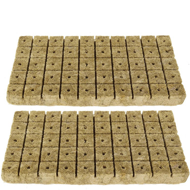 Cubes de culture en laine de roche pour semis - 100 pièces - Plumzi
