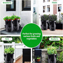 Sac de Culture Réspirable pour fraises tomates et fleurs - Vert / 5 Gallons 20x25cm / 1 - Plumzi