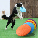 Frisbee pliable pour chien - Vert / S 15cm - Plumzi