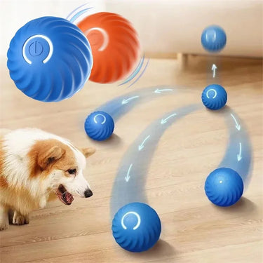 Balle intelligente pour chien et chat - Orange - Plumzi