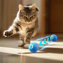 Balle intelligente pour chien et chat - Orange - Plumzi
