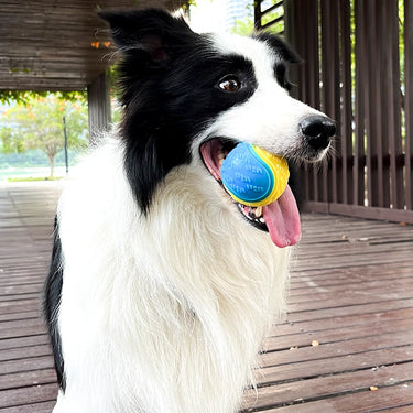 Balle interactive résistante pour chien en TPR - Bleu - Plumzi