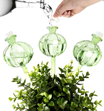Ampoules en verre pour arrosage automatique de plantes d'intérieur