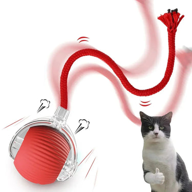 Balle roulante interactive pour chat - Gris - Balle avec corde - Plumzi