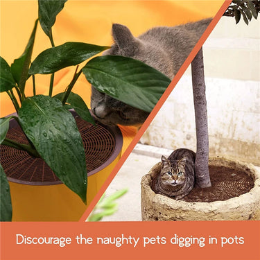 Grille de protection pour Pot de Plante pour jardin et maison - Noir / 19cm / 1 - Plumzi