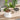 Grille de protection pour Pot de Plante pour jardin et maison - Noir / 19cm / 1 - Plumzi