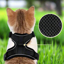 Harnais et laisse pour chat doux et réglable pour marche et ballade - Noir - Plumzi