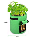 3 Sacs de Plantation et de Culture pour Potager - 10 Gallons - 38L - Vert - Plumzi