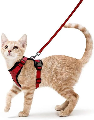 Harnais et laisse pour chat doux et réglable pour marche et ballade - Rouge - Plumzi