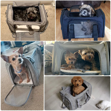 Sac de Transport Latéral Souple pour Chien et Chat - Approuvé Aéroport - Rose / L (50x34x34cm) - Plumzi