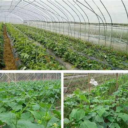 Filet d'escalade de jardin - Support robuste pour fleurs et légumes