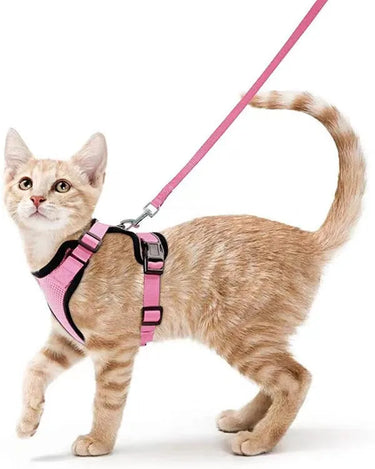 Harnais et laisse pour chat doux et réglable pour marche et ballade - Rose - Plumzi