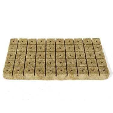Cubes de culture en laine de roche pour semis - 50 pièces - Plumzi
