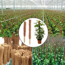 Poteau Totem en coco pour plantes grimpantes 30 à 50 cm support jardin - 30cm / 1 - Plumzi