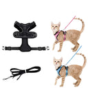 Harnais et laisse pour chat doux et réglable pour marche et ballade - Noir - Plumzi